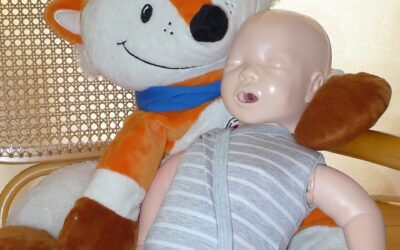 Ein neues Familienmitglied bei den Pflasterfüchsen