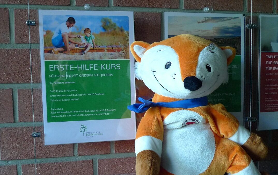 Der Pflasterfuchs war nun auch in Bergheim