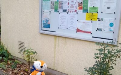 Aufmerksame Ersthelfer aus Bensberg