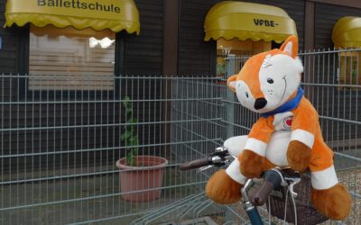 Sportliche Pflasterfüchse