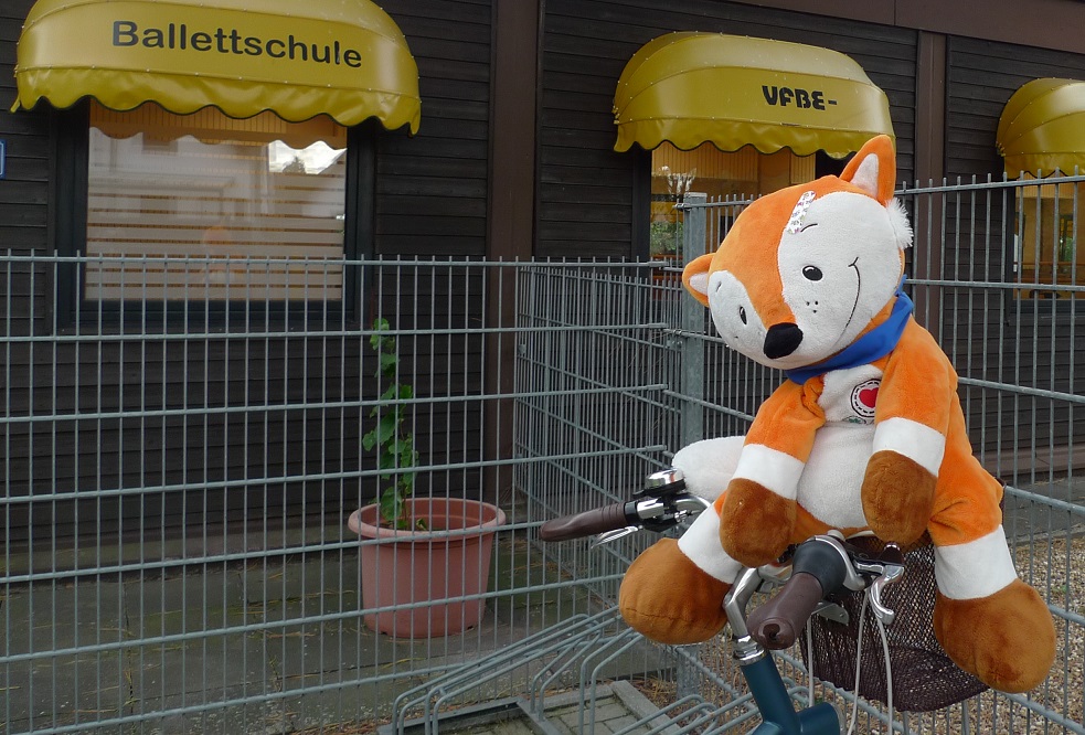 Sportliche Pflasterfüchse