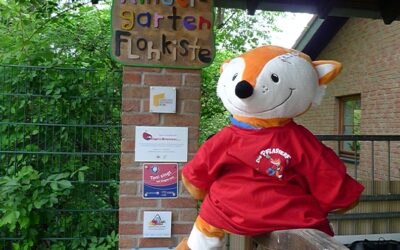 Pflasterfuchs in Flohkiste