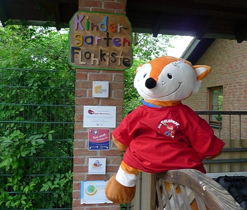 Pflasterfuchs in Flohkiste