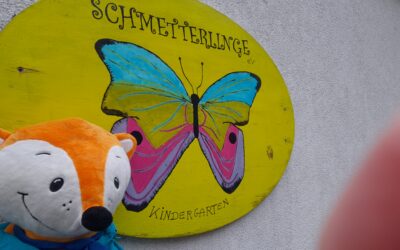 Bei den Schmetterlingen